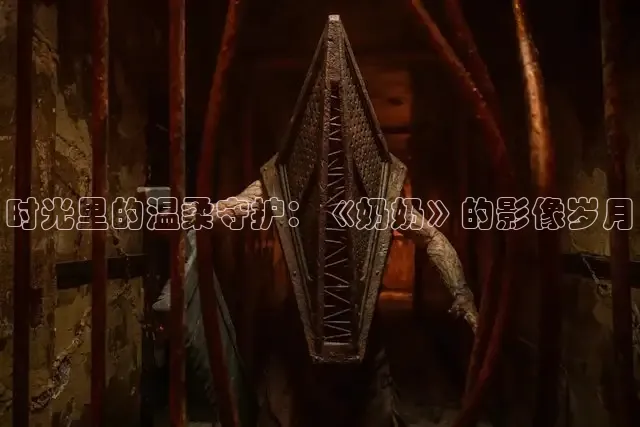 时光里的温柔守护：《奶奶》的影像岁月