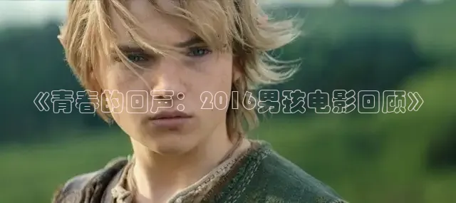 《青春的回声：2016男孩电影回顾》