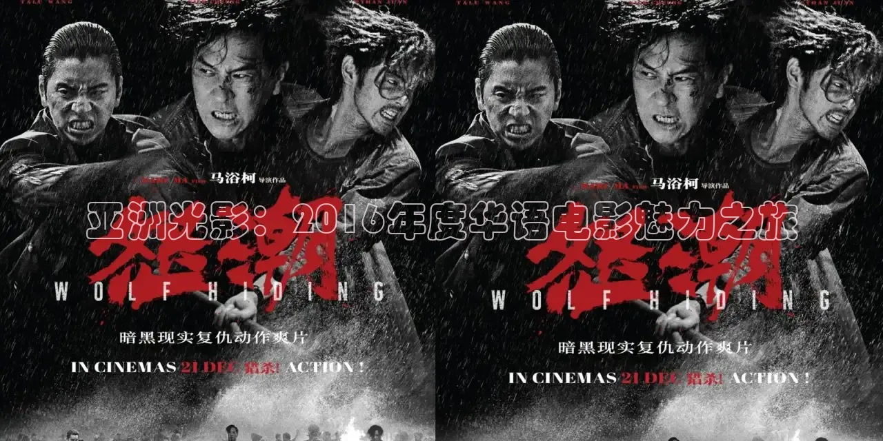 亚洲光影：2016年度华语电影魅力之旅