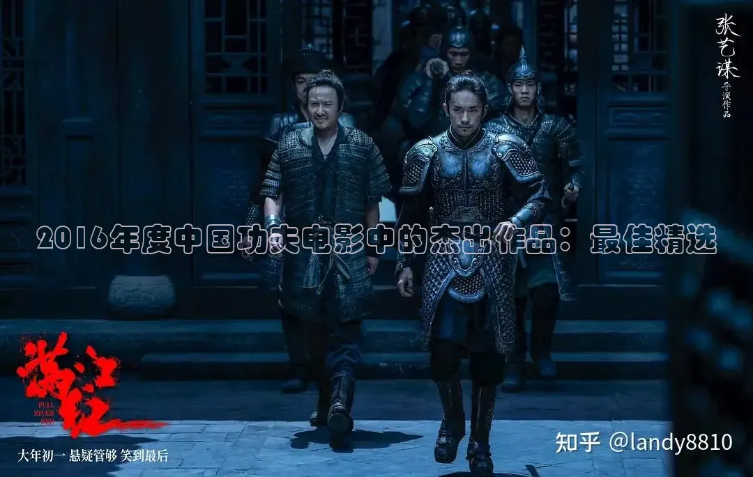 2016年度中国功夫电影中的杰出作品：最佳精选