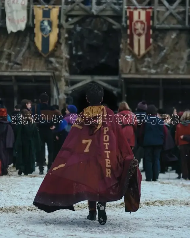 莱芜2016：微电影中的故事与艺术