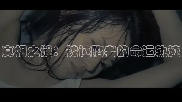 真相之谜：被诬陷者的命运轨迹